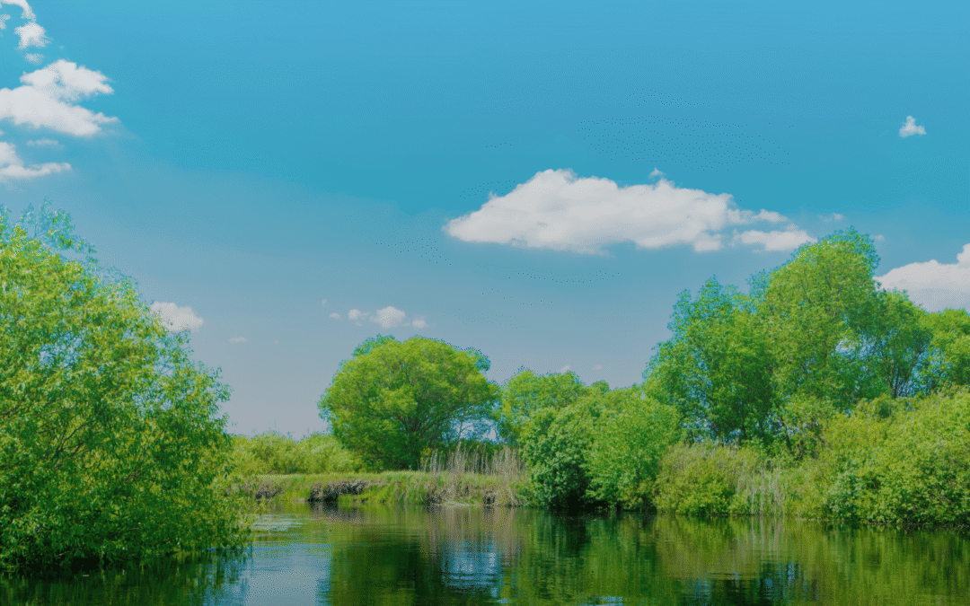 Hingham Light and Weir River Launch Exciting Transition to Local, Customer-Centric Utility Management