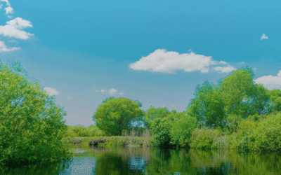 Hingham Light and Weir River Launch Exciting Transition to Local, Customer-Centric Utility Management